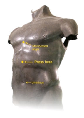 Torso di Livorno