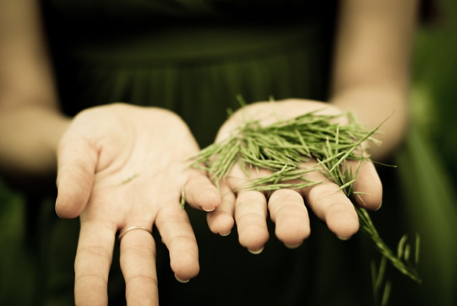 A woman holds pieces of nature in her hands.