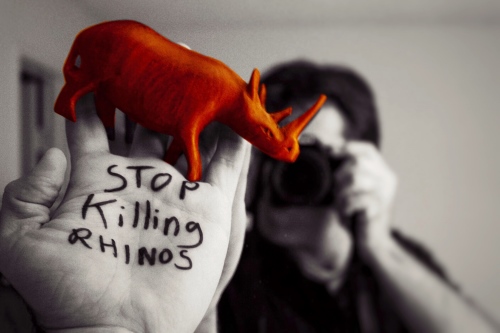 Save the Rhinos