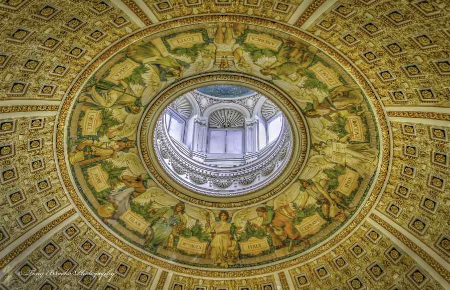 Reading Room Dome